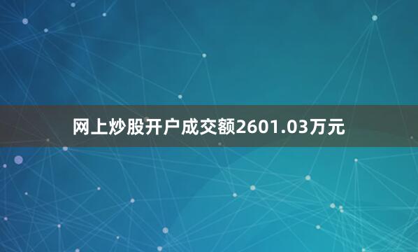 网上炒股开户成交额2601.03万元